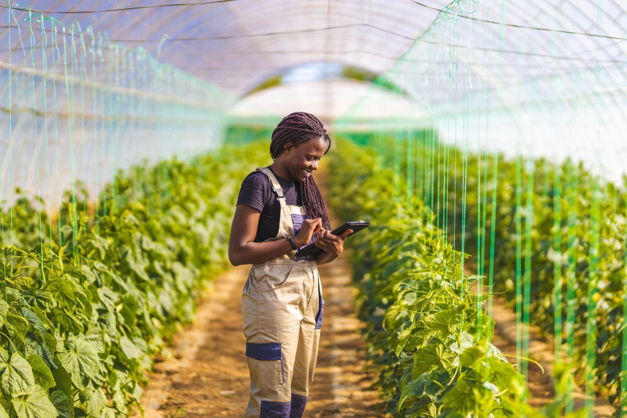 ey-smiling-female-farmer-using-digital-tablet-at-greenhouse