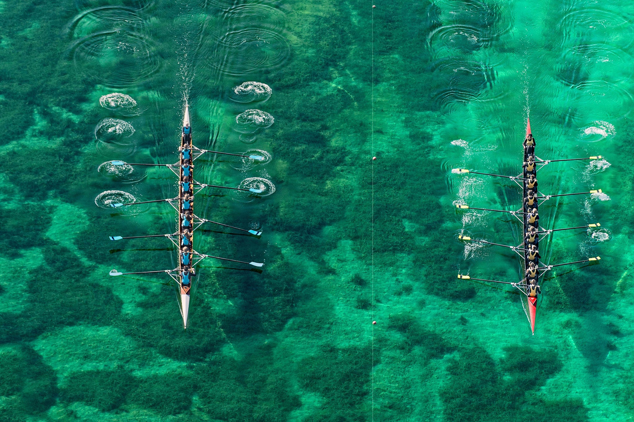 aerial view of two 8 seat row crews competing