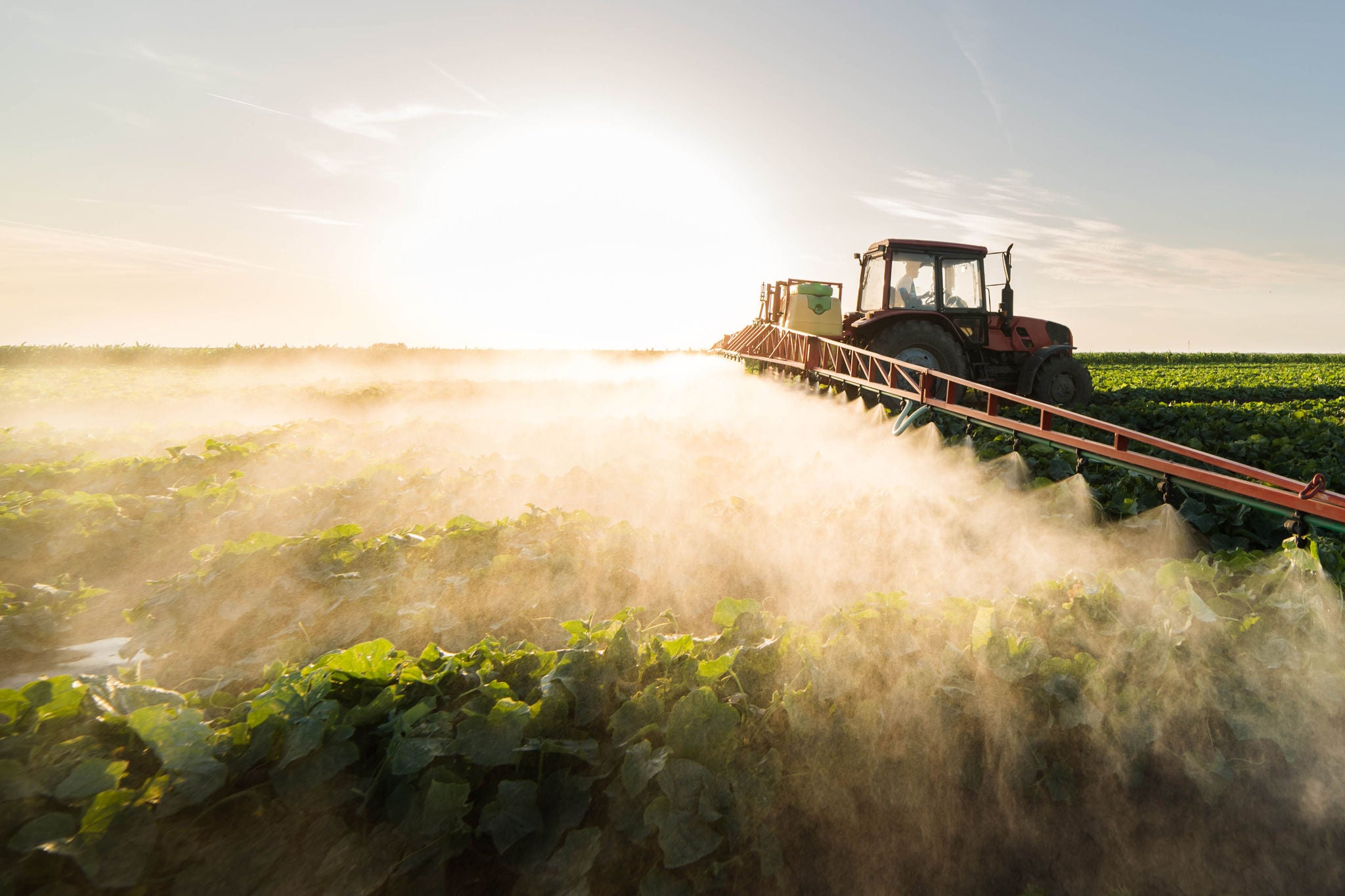 Farmer tractor with spraying fertilizer