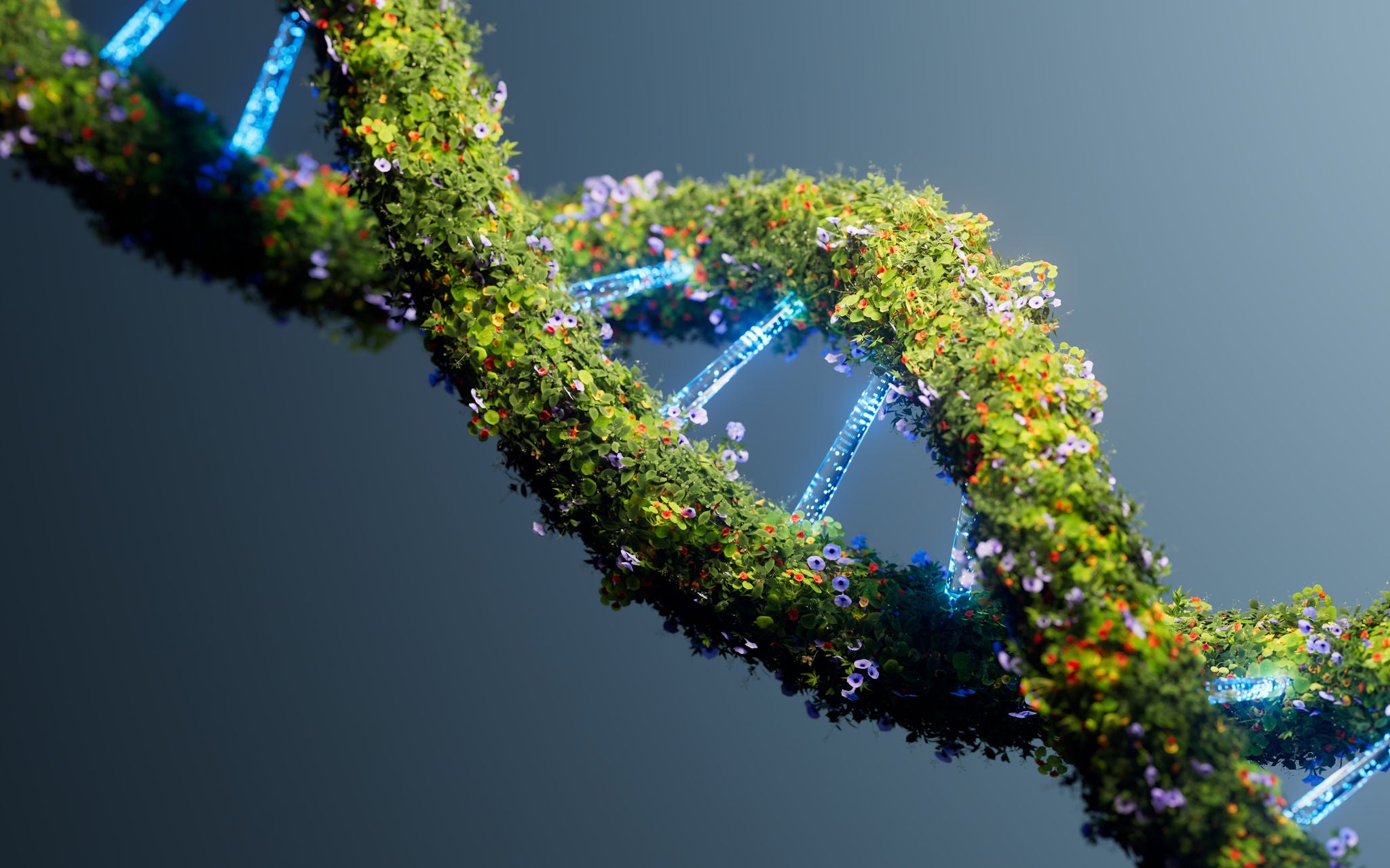 sustainability-dna