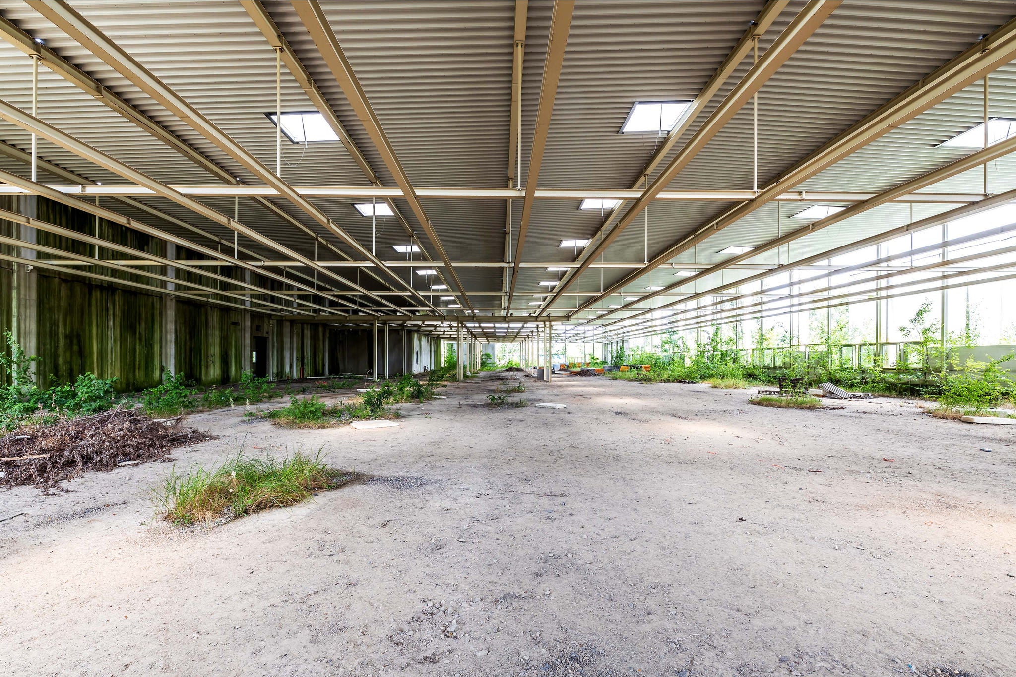 Eine riesige Halle einer verlassenen und leerstehenden Fabrik.