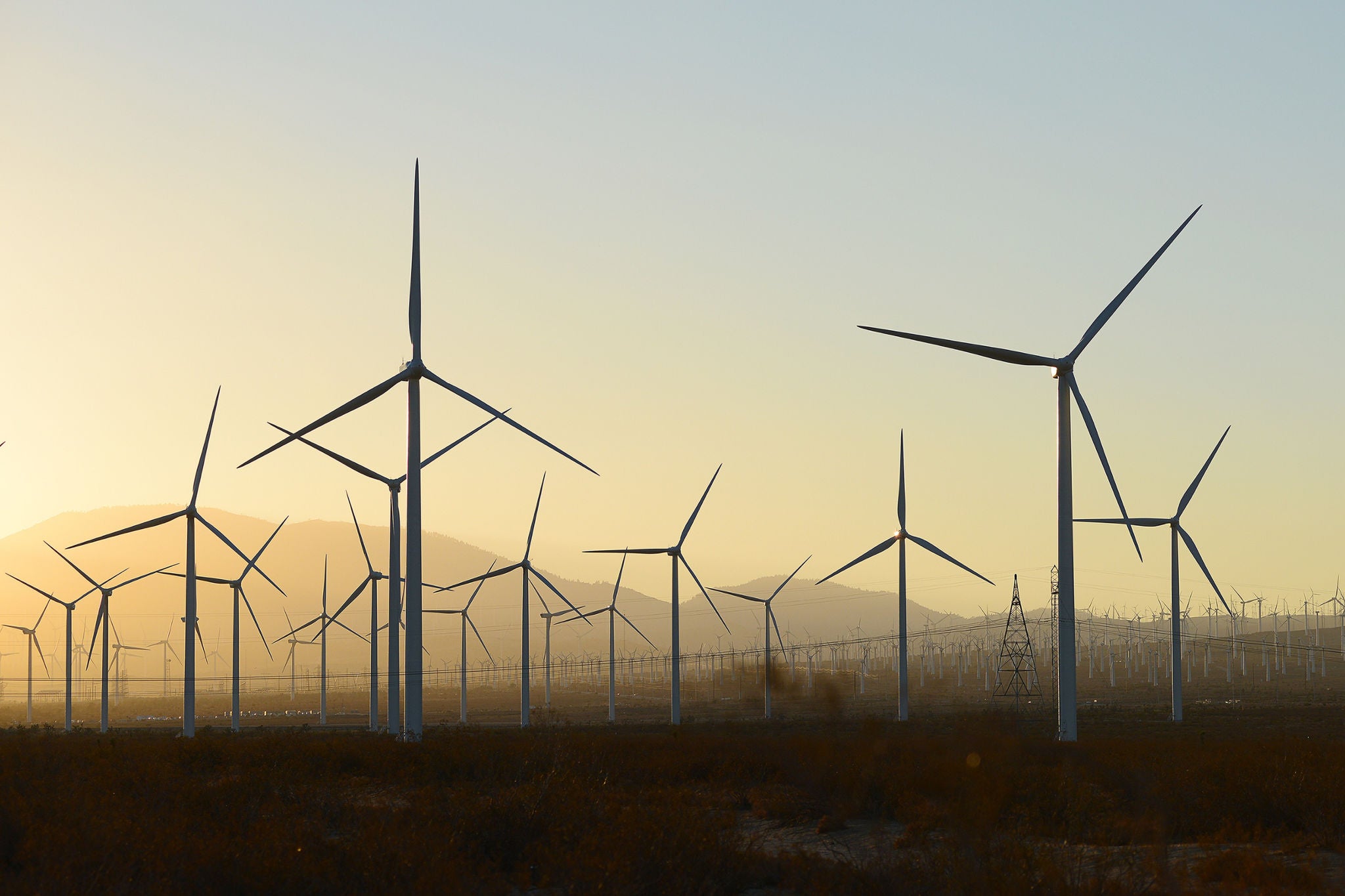 ey-conflictividad-juridica-parque-eolico