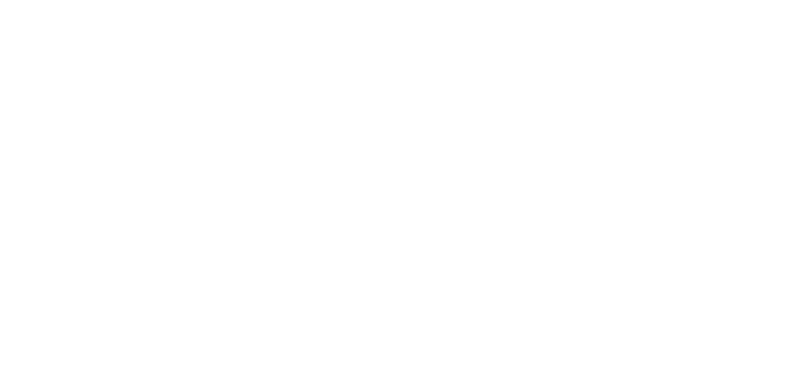 Selective Insight logo