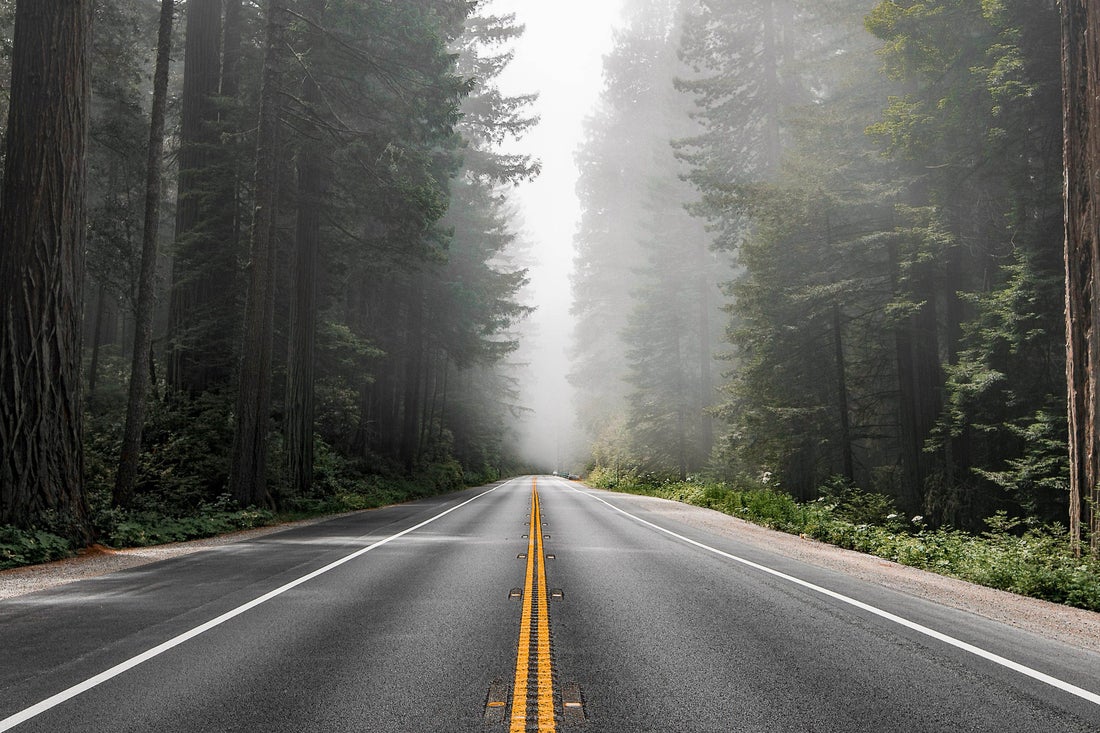 Impact of Omnibus on the EU Taxonomy Regulation | EY - Switzerland
