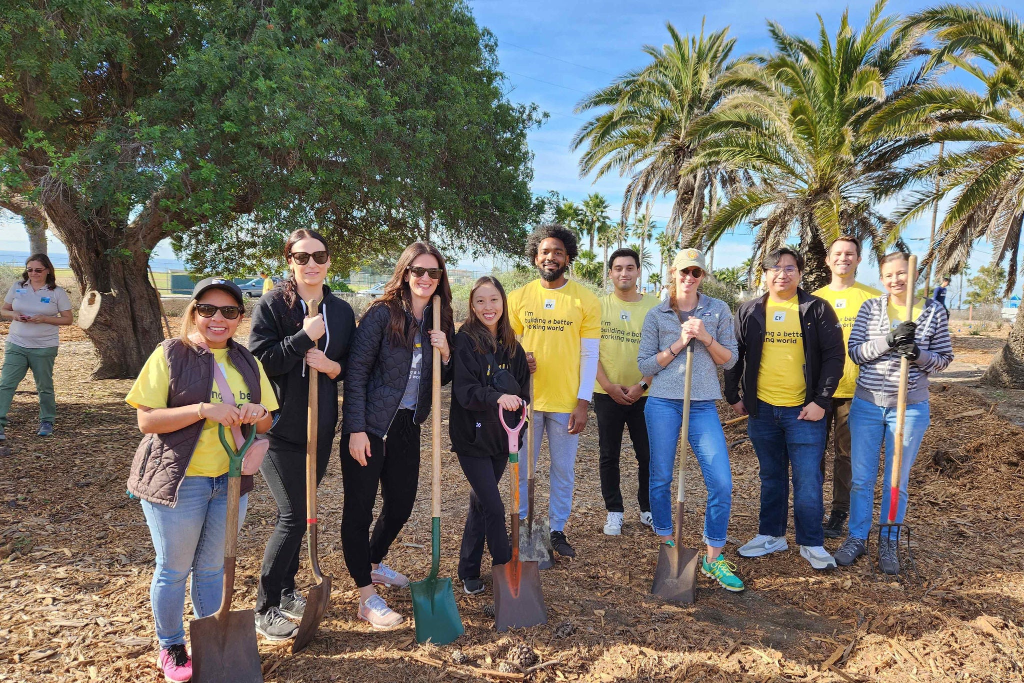 EY CD Los Angeles Palos Verdes Peninsula Land Conservancy Team working at the conservancy