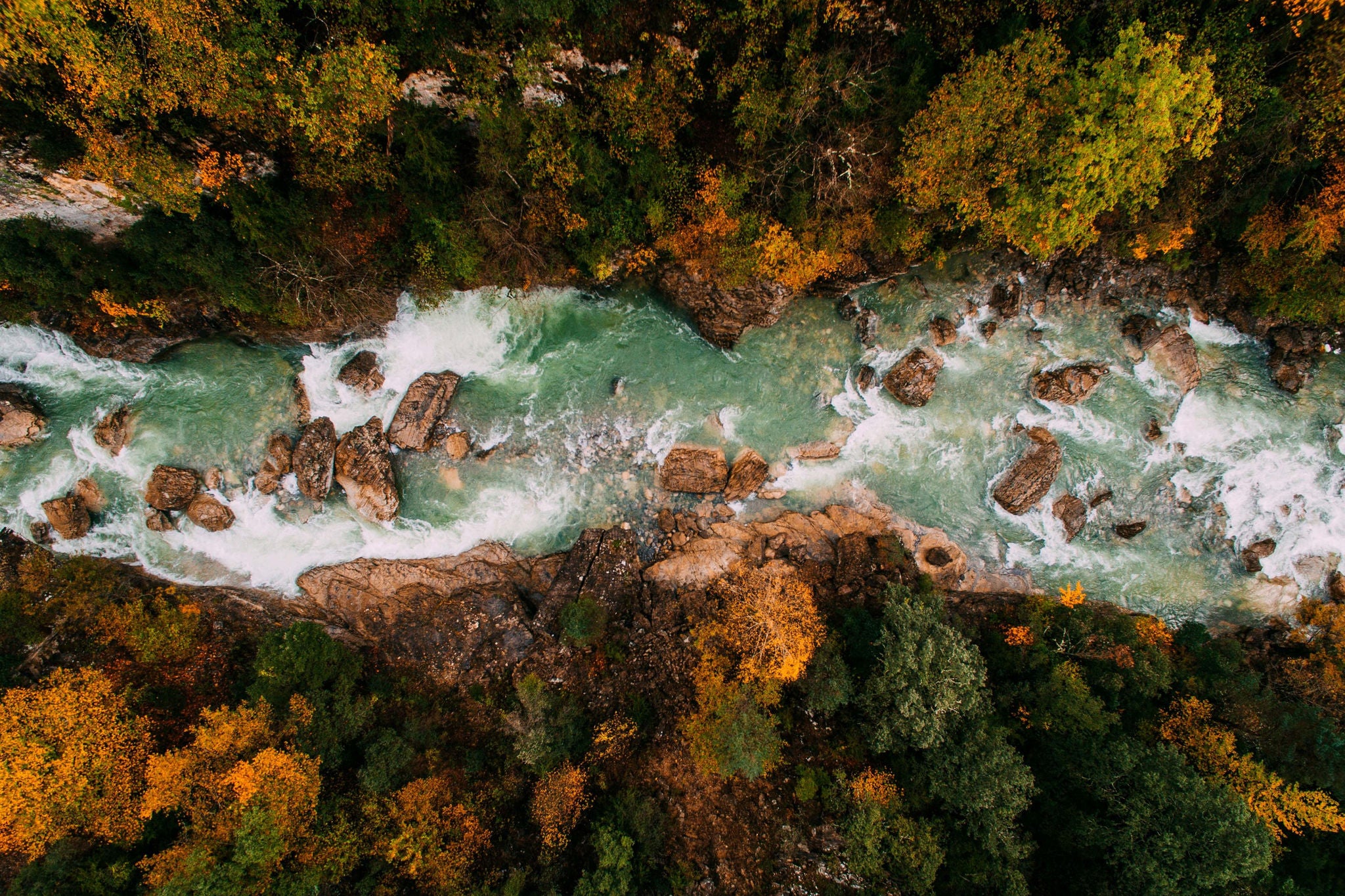 River flowing in the jungle 
