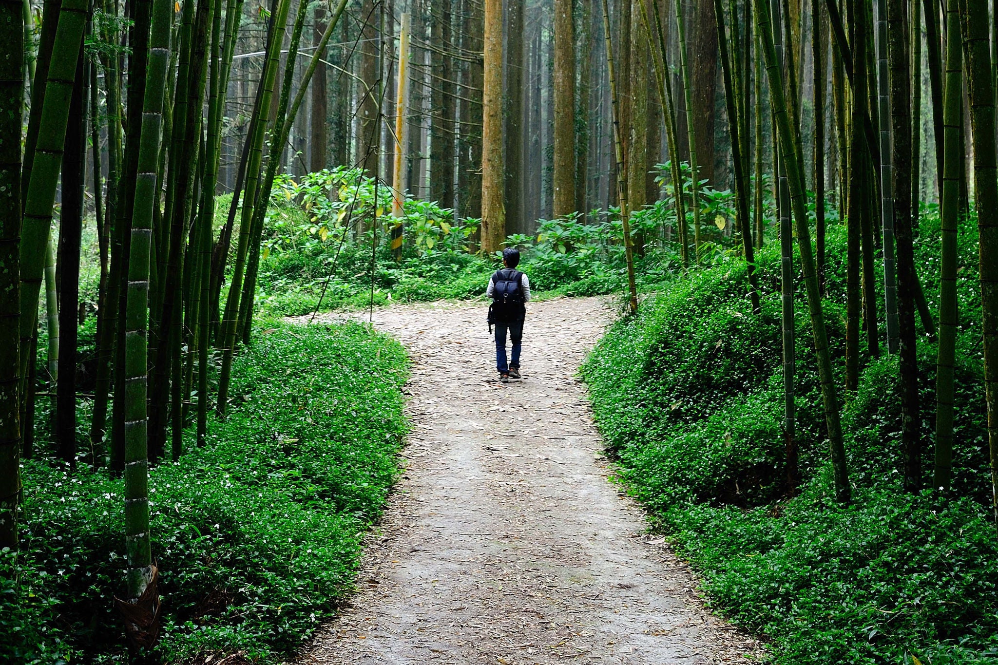 ey-iasb-segunda-parte