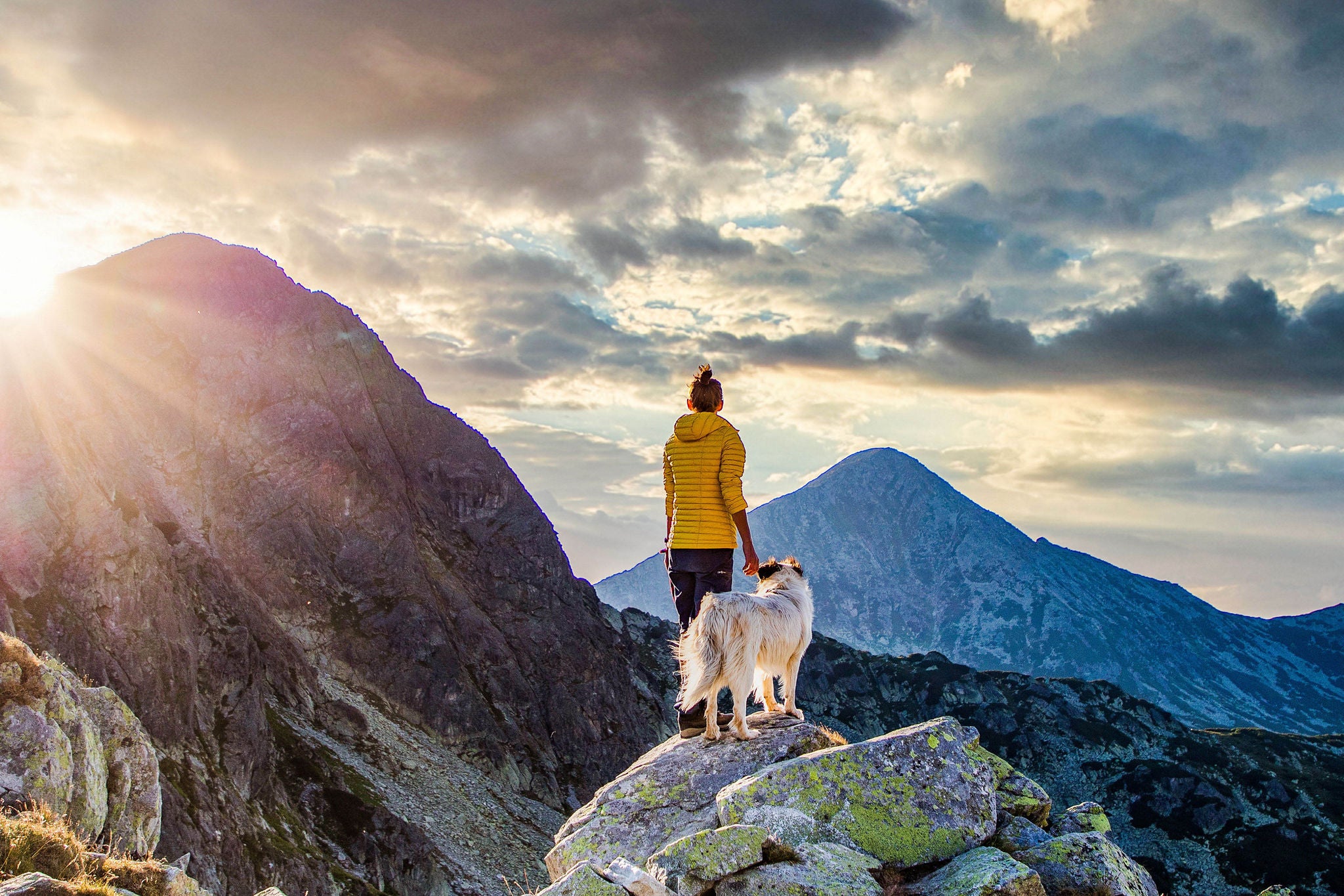woman with white dog sitting on mountain top in summer landscape slow travel and freedom concept