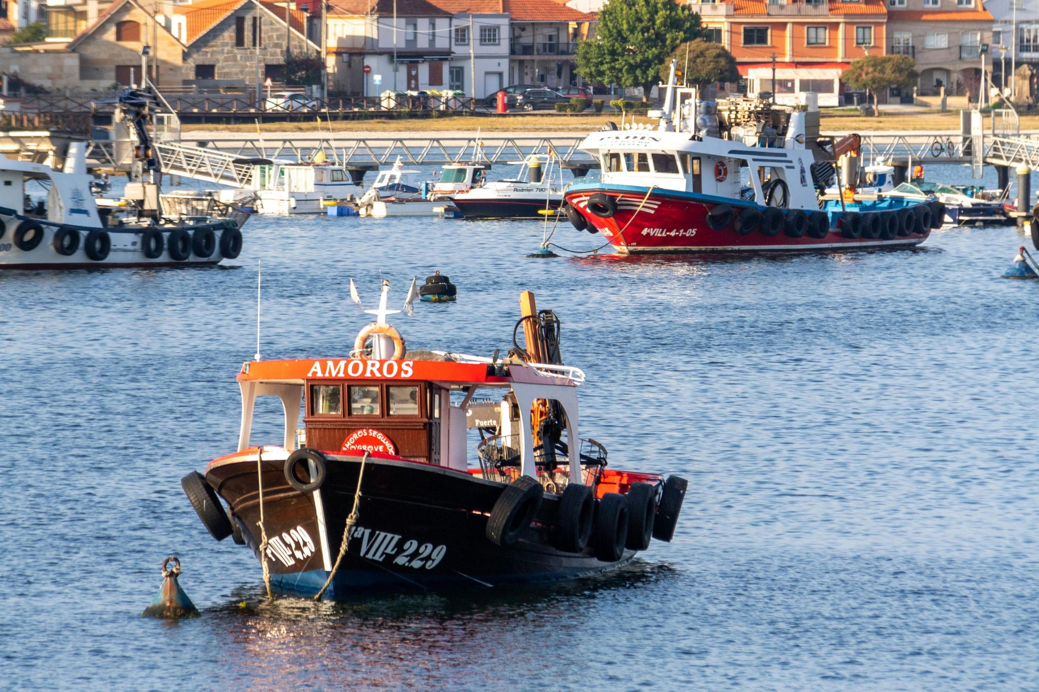 ey-pesca-gallega-2025