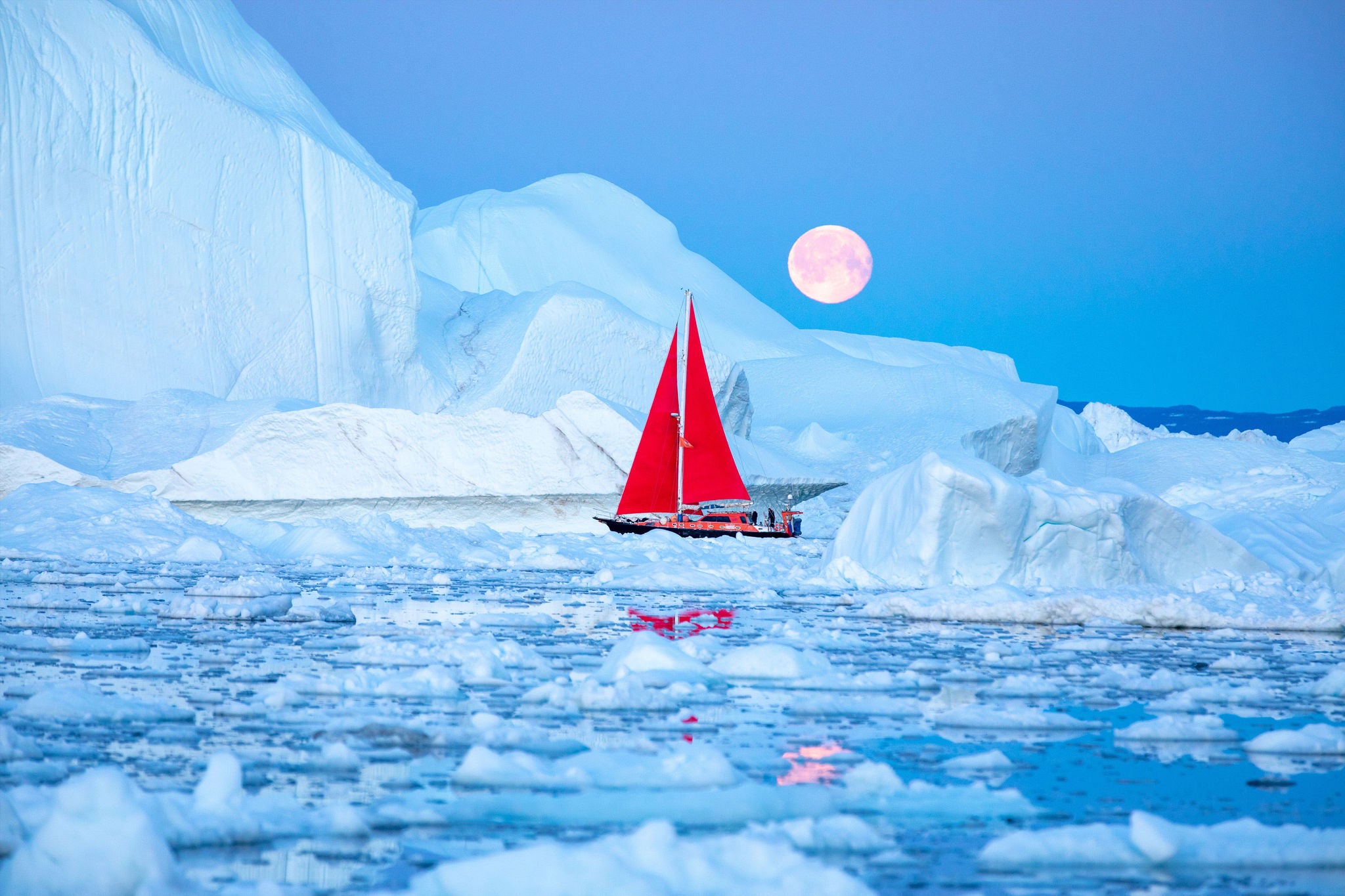 Little red sailboat cruising among floating icebergs
