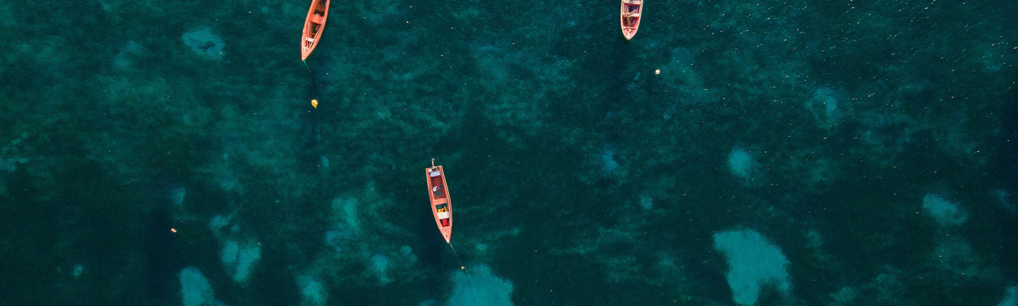 paradise beach in Caribbean sea, Antilles scenic landscape with turquoise water, coral reef and fisherman boats