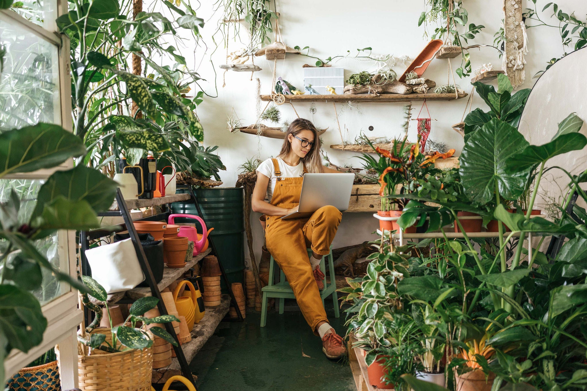 Mujer en un vivero usa su laptop