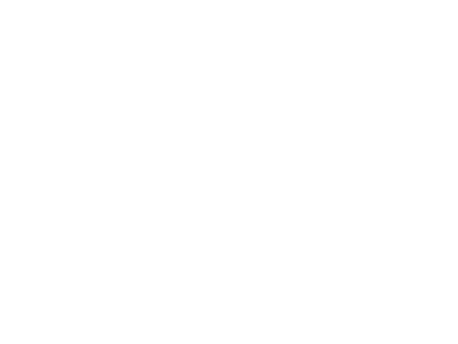 Strong and Hanni logo