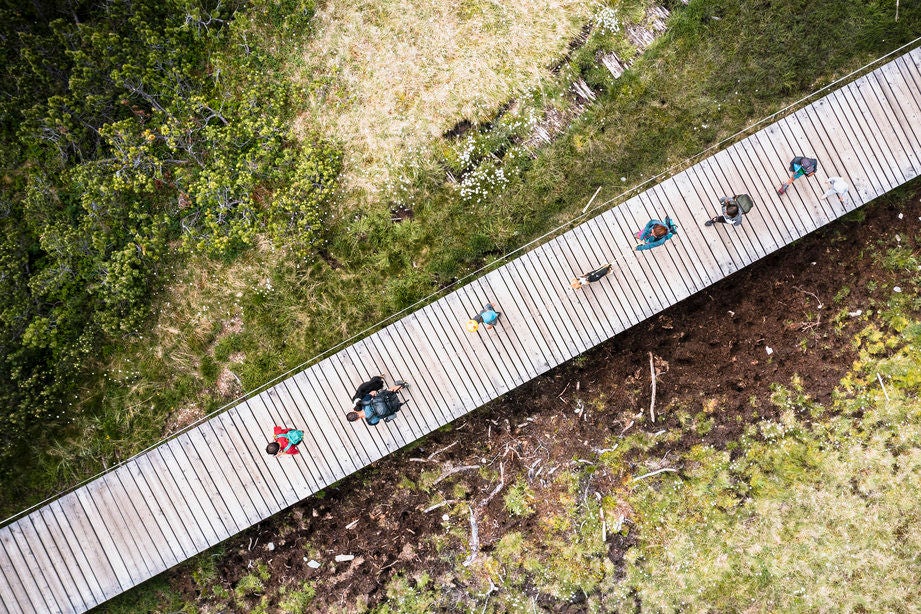 Hikers walking on footpath in the Biotopo Monte Covolo-Nemes natural area from above, Sesto, Bolzano, South Tyrol, Italy