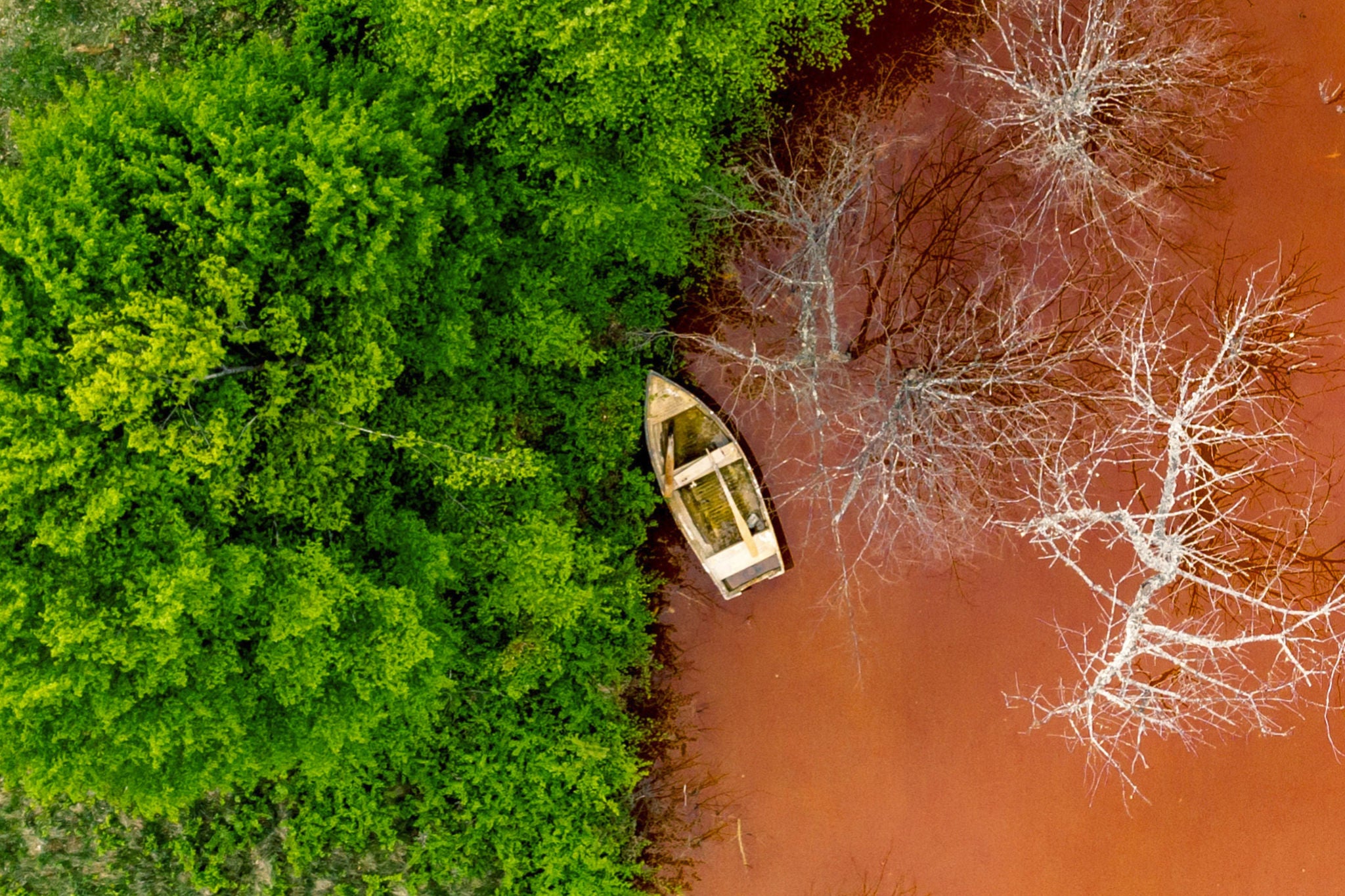 ey-barometro-global-accion