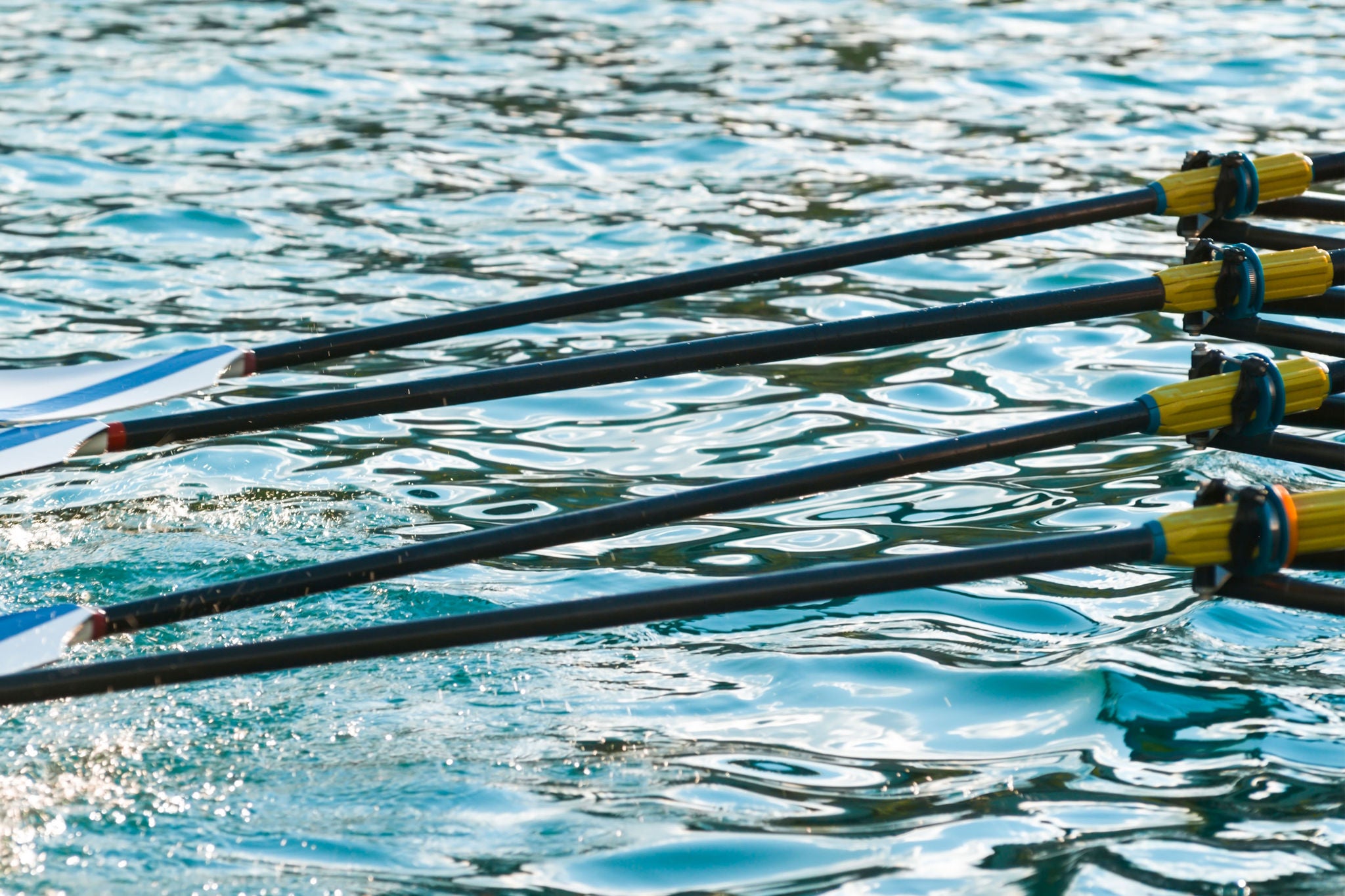 ey-multiple-oars-synchronized-rowing