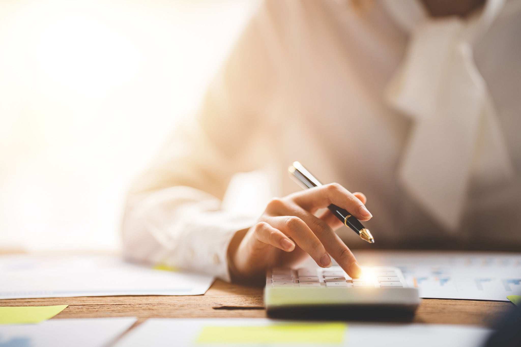 Economy Watch February 2026