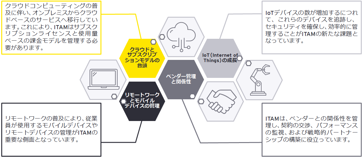 限定SALE，安い itsamir様専用
