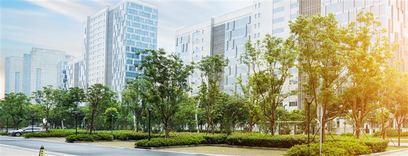 Portrait view of city