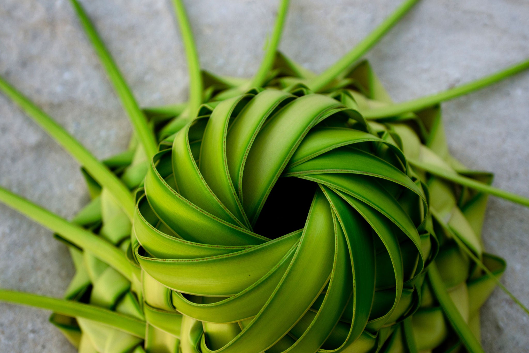 Woven green palm leaves forming a spiral pattern