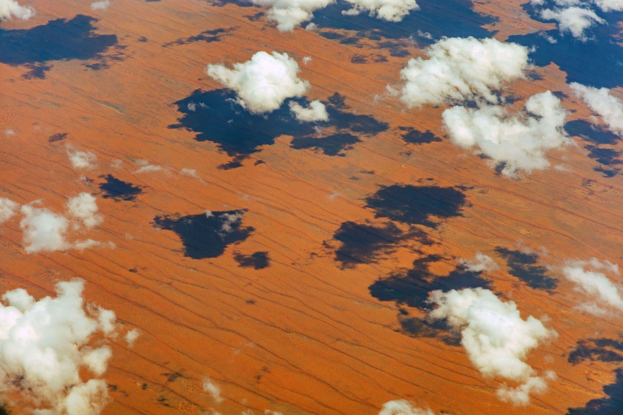 EY Canadian climate action insights 2025 