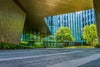Edificio ecológico moderno con árbol en el exterior