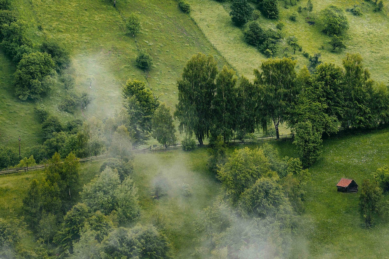 High angle view of foggy hill with meadow