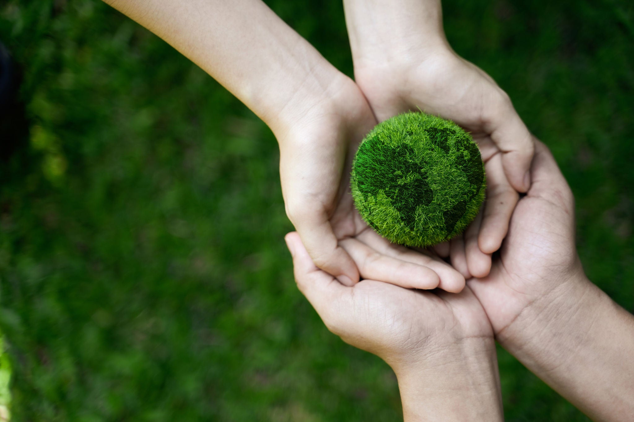 Vier Hände halten eine kleine, grüne Kugel aus Gras.