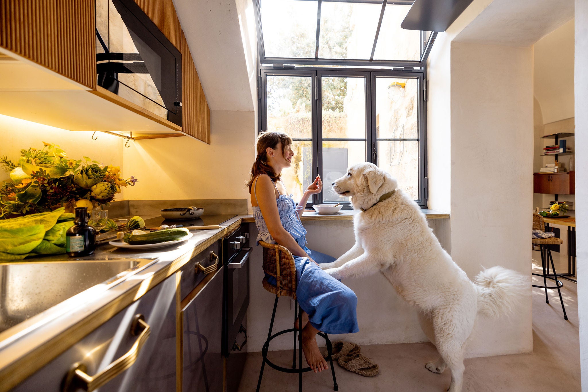 A woman shares a peaceful breakfast moment with her large white dog in a sunny Italian kitchen.