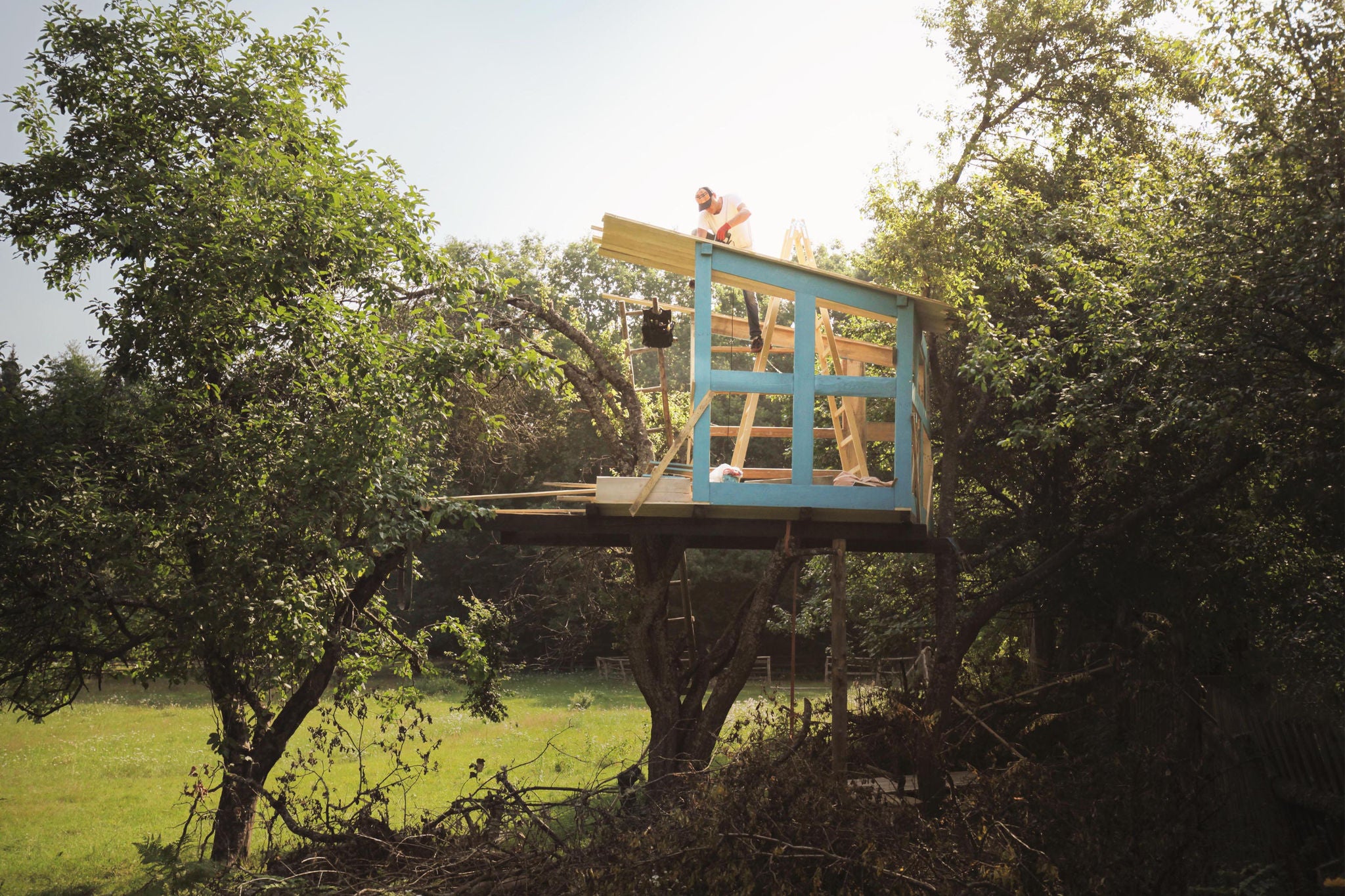 Father on tree building tree house for kids