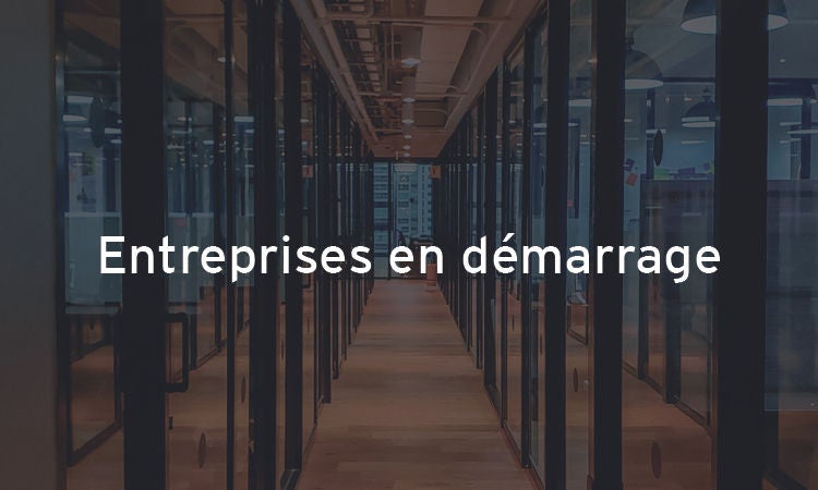 entreprises en démarrage