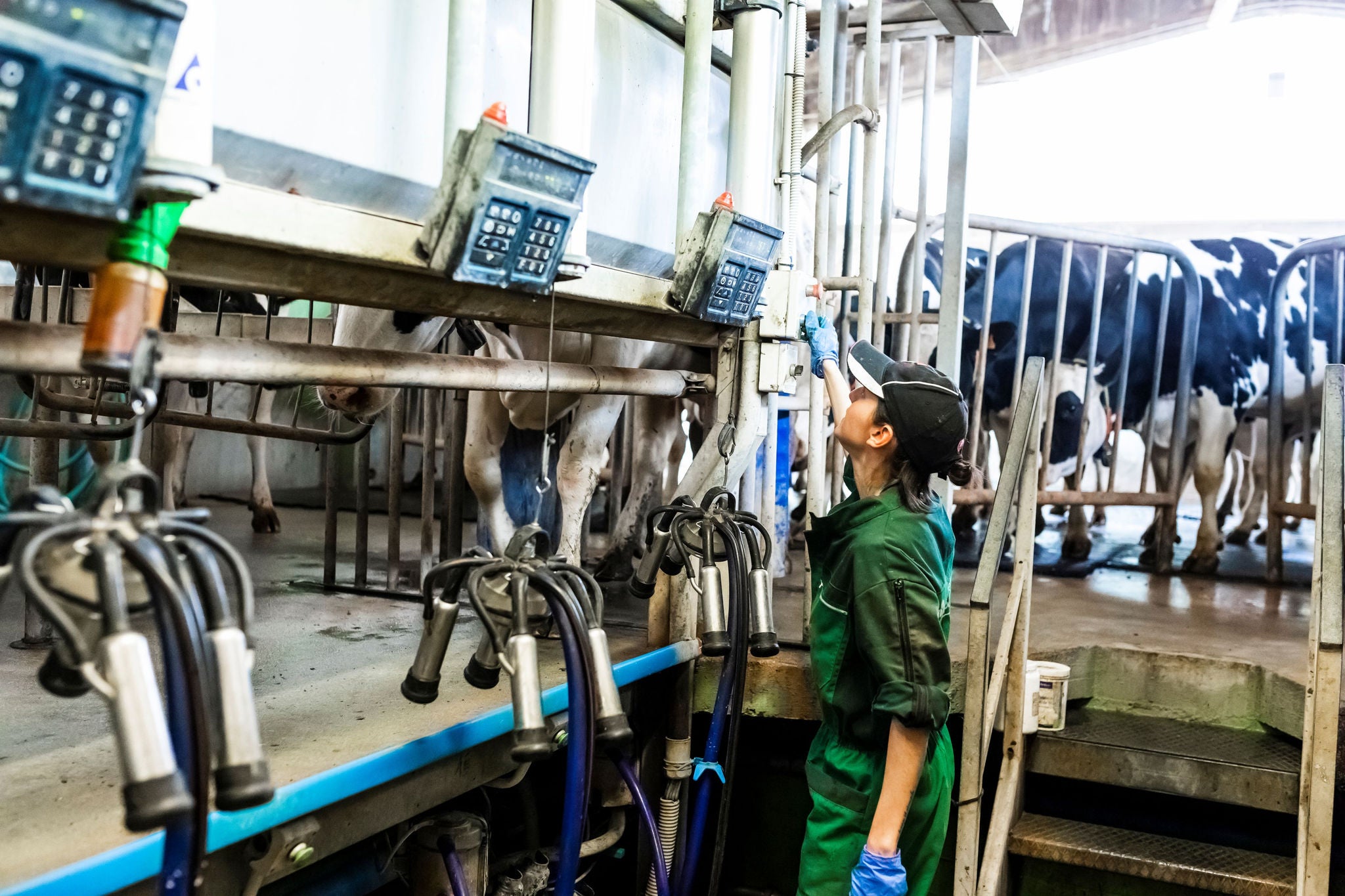 India dairy transformation