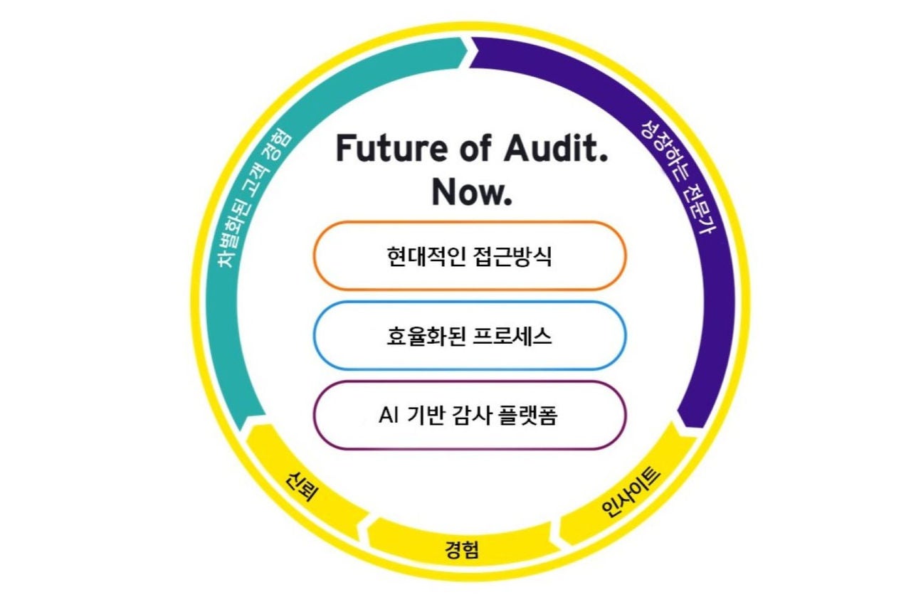 Future of Audit. Now.