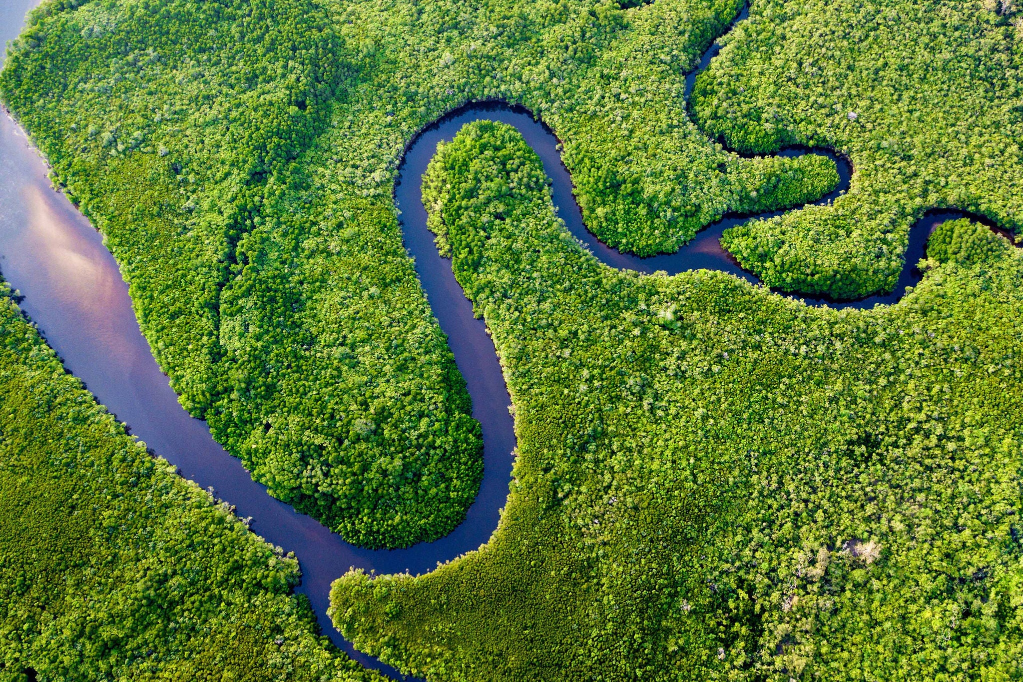 Flod der snor sig igennem grønt område