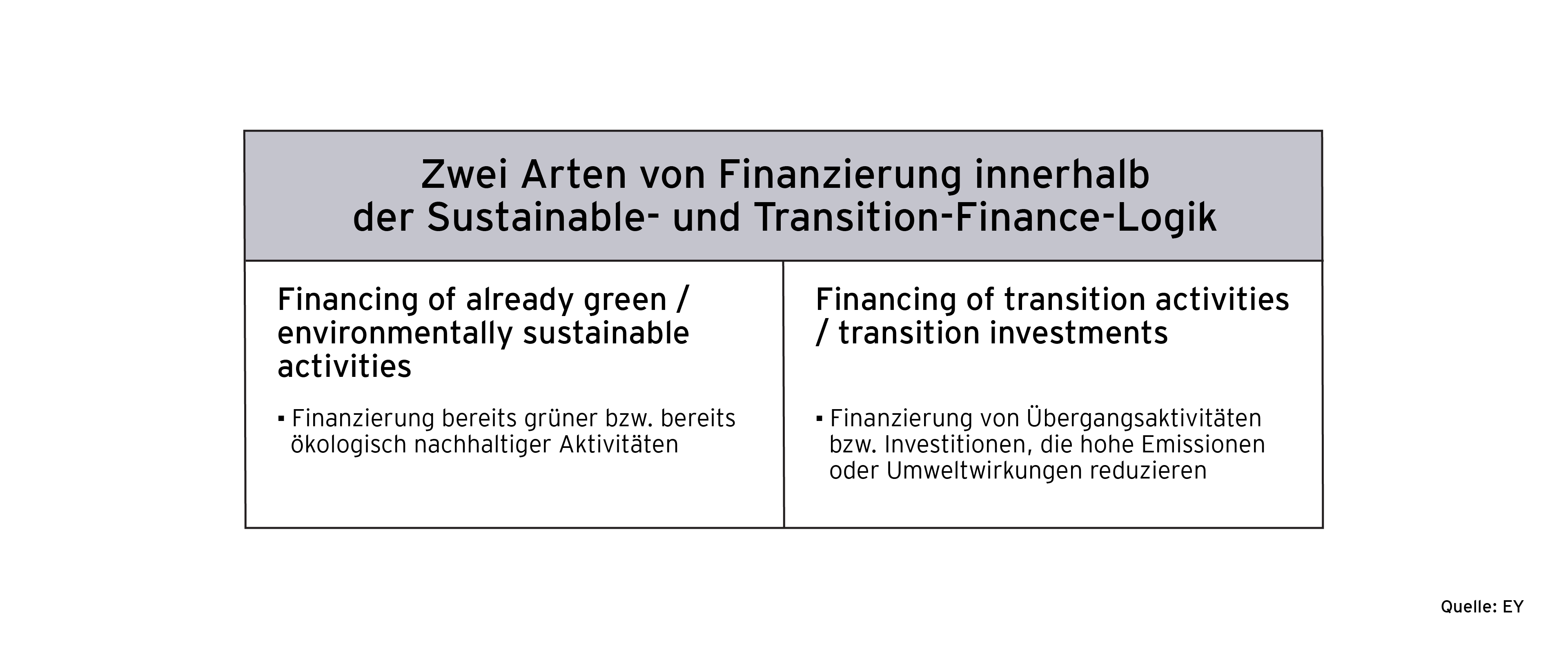 Zwei Arten von Finanzierung innerhalb der Sustainable- und Transition-Finance-Logik
