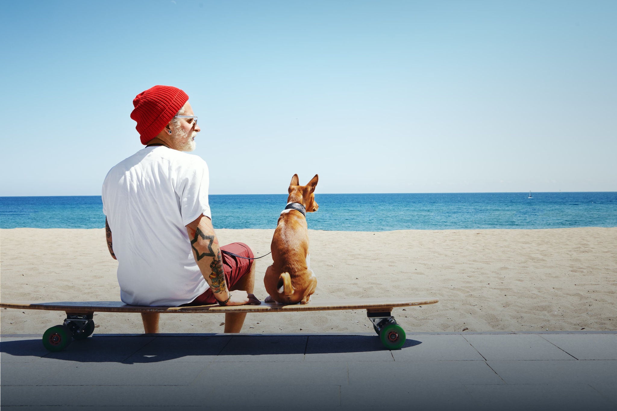 man and dog on a skateboard facing the sea