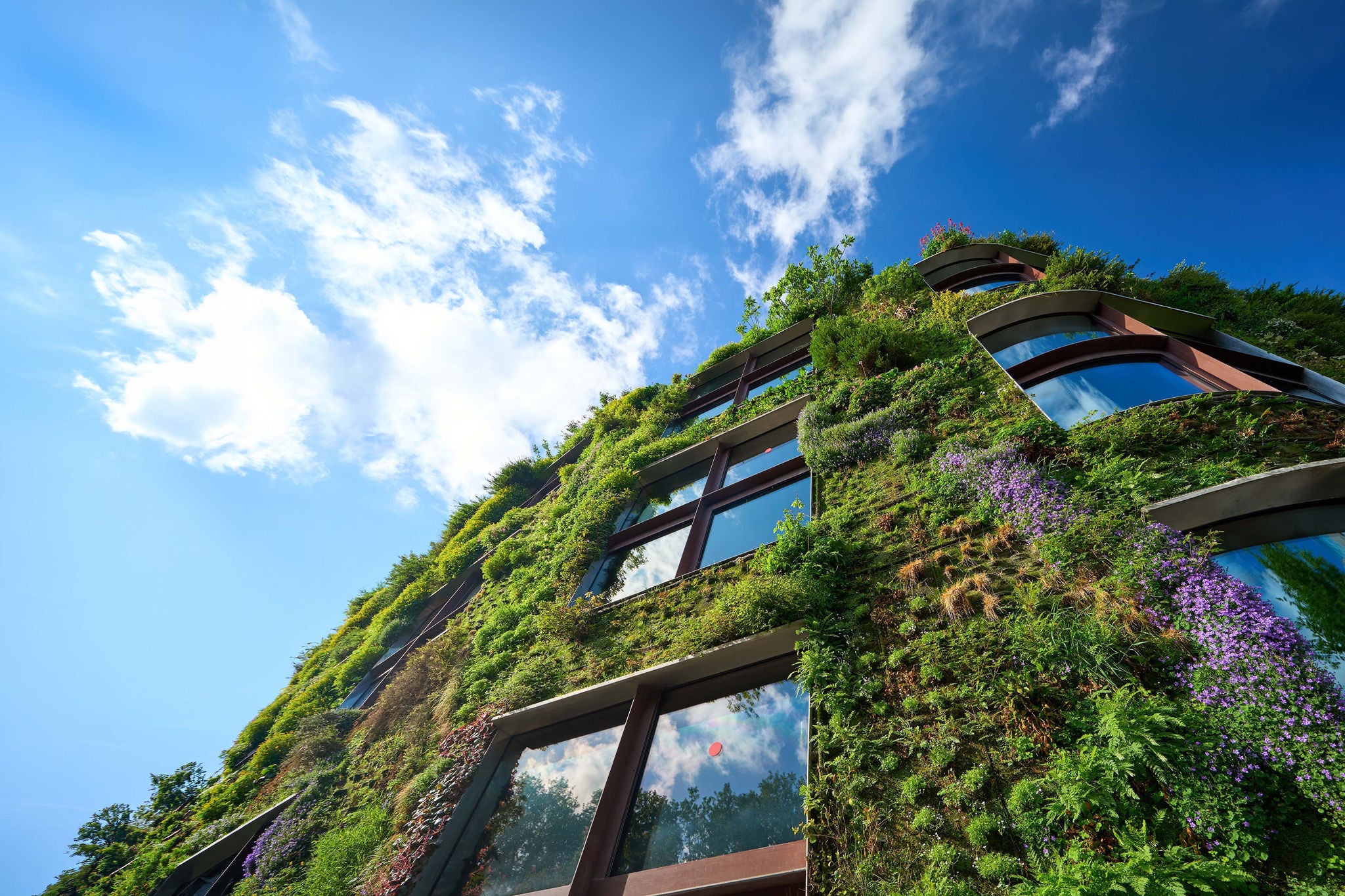 Moderne grüne Architektur mit vertikalem Garten, nachhaltigem Design und ESG-Fokus.