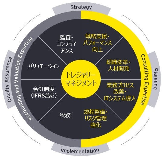 Treasury Management トレジャリー・マネジメント トレジャリーマネジメント:企業の必携ガイド