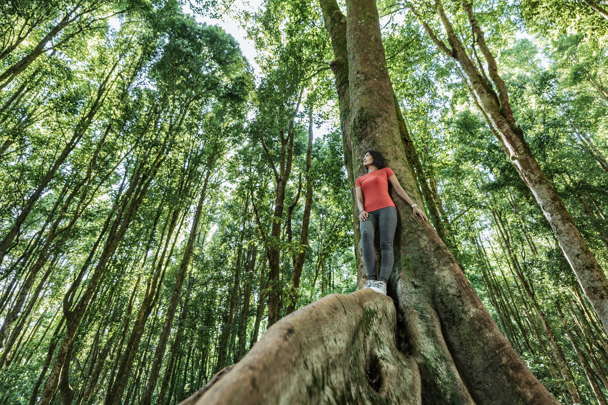 asian woman standing in tropical rainforest