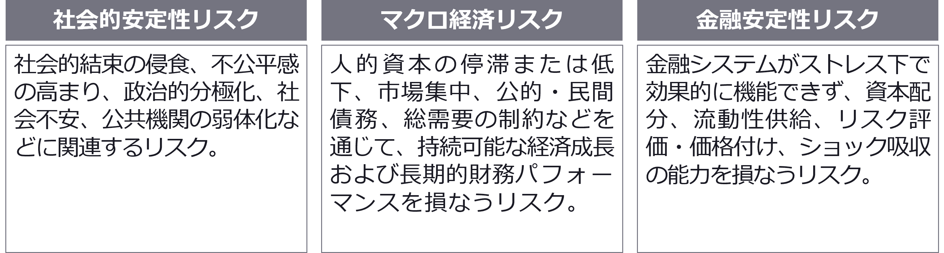 システムレベルのリスク：不平等は市場・社会・金融システム全体に波及し得る