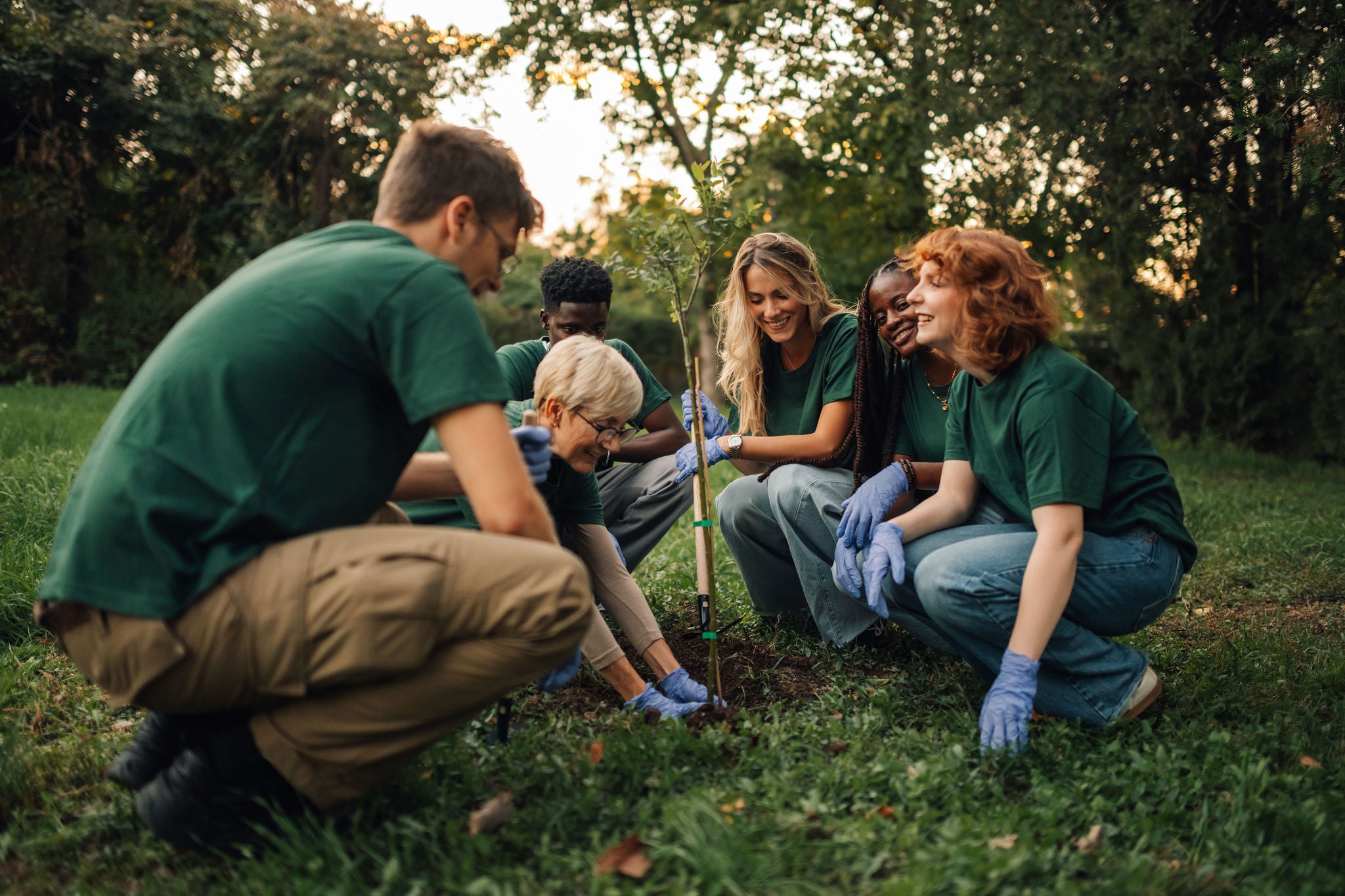 Diverse group of volunteers wearing green t shirts are planting a new tree in the park, taking care of nature and environment