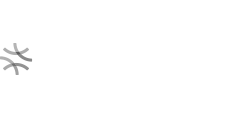 SteveDouglas logo