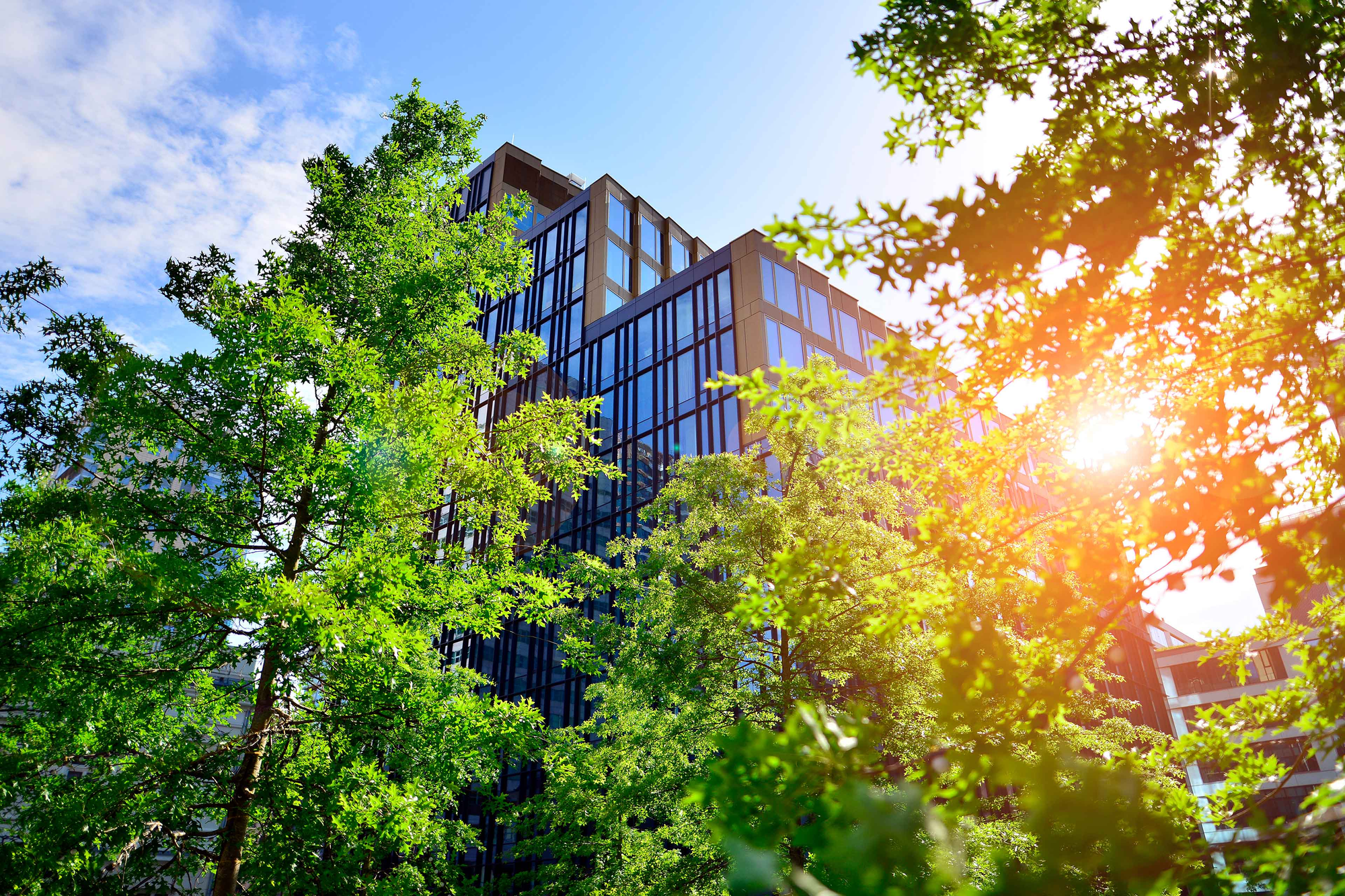 ESRS 2024 reporting: key findings & 2025 priorities