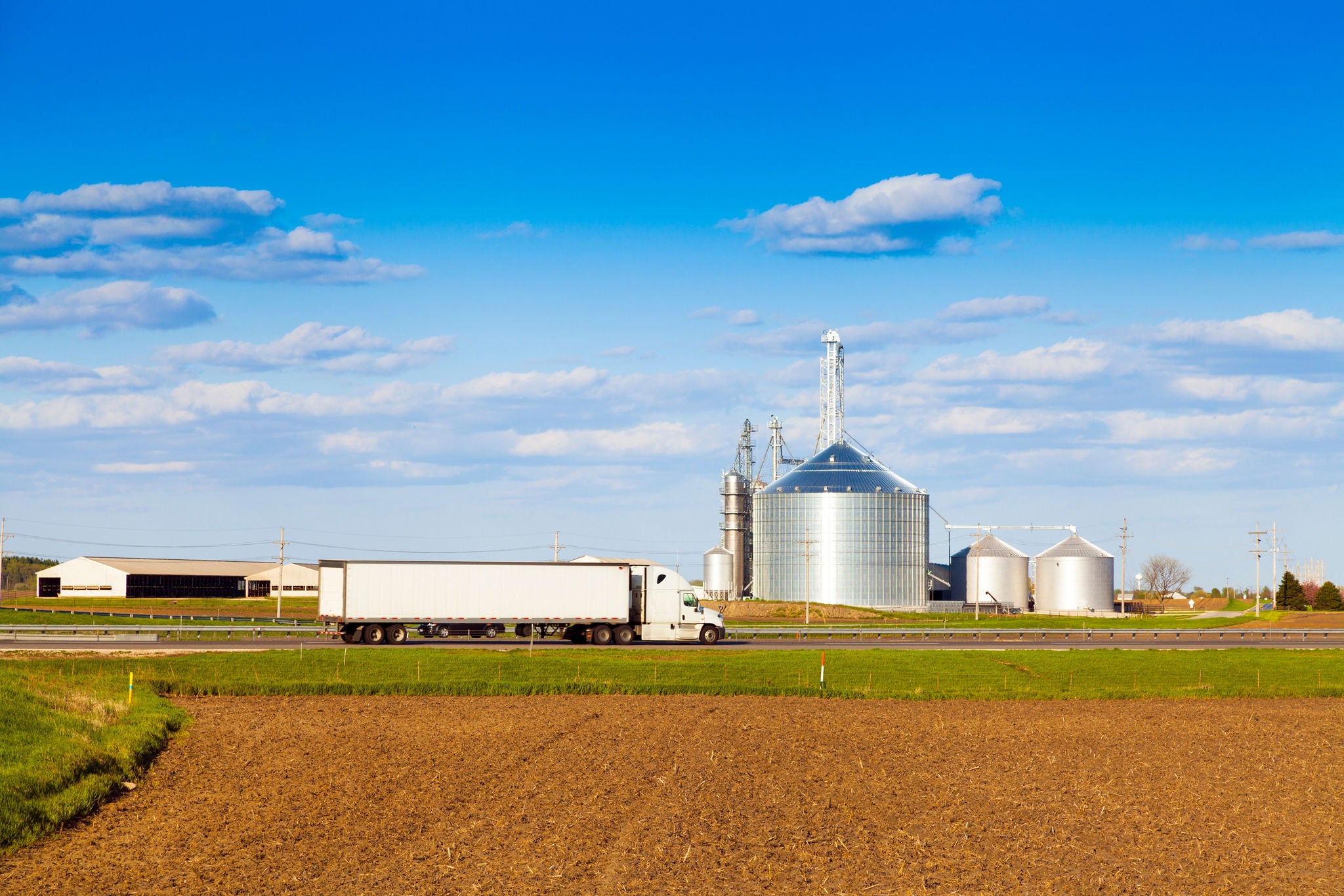 Agriculture