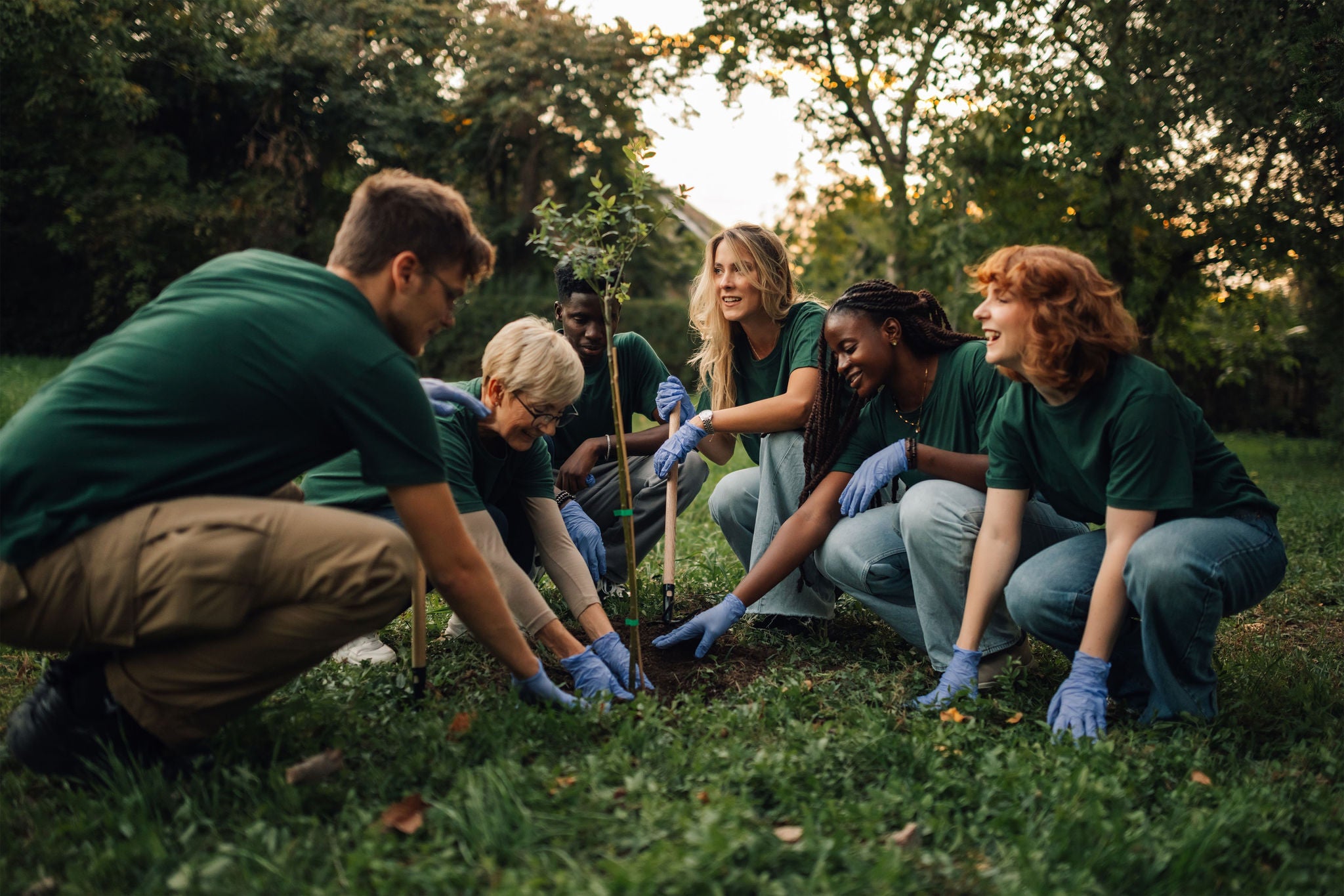 Grupo de voluntarios plantando un árbol