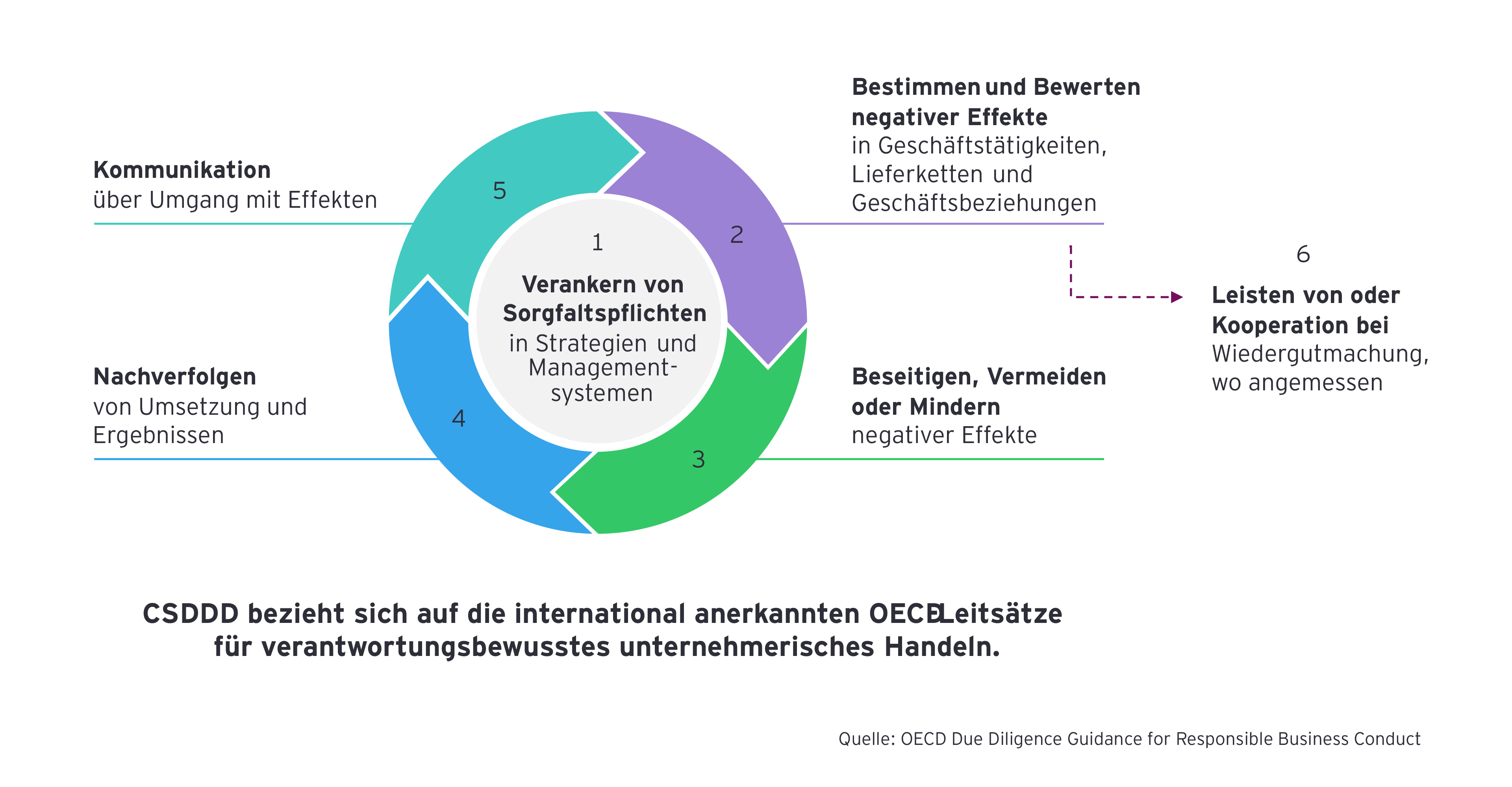 Infografik zeigt sechsstufigen Prozess für unternehmerische Sorgfaltspflichten