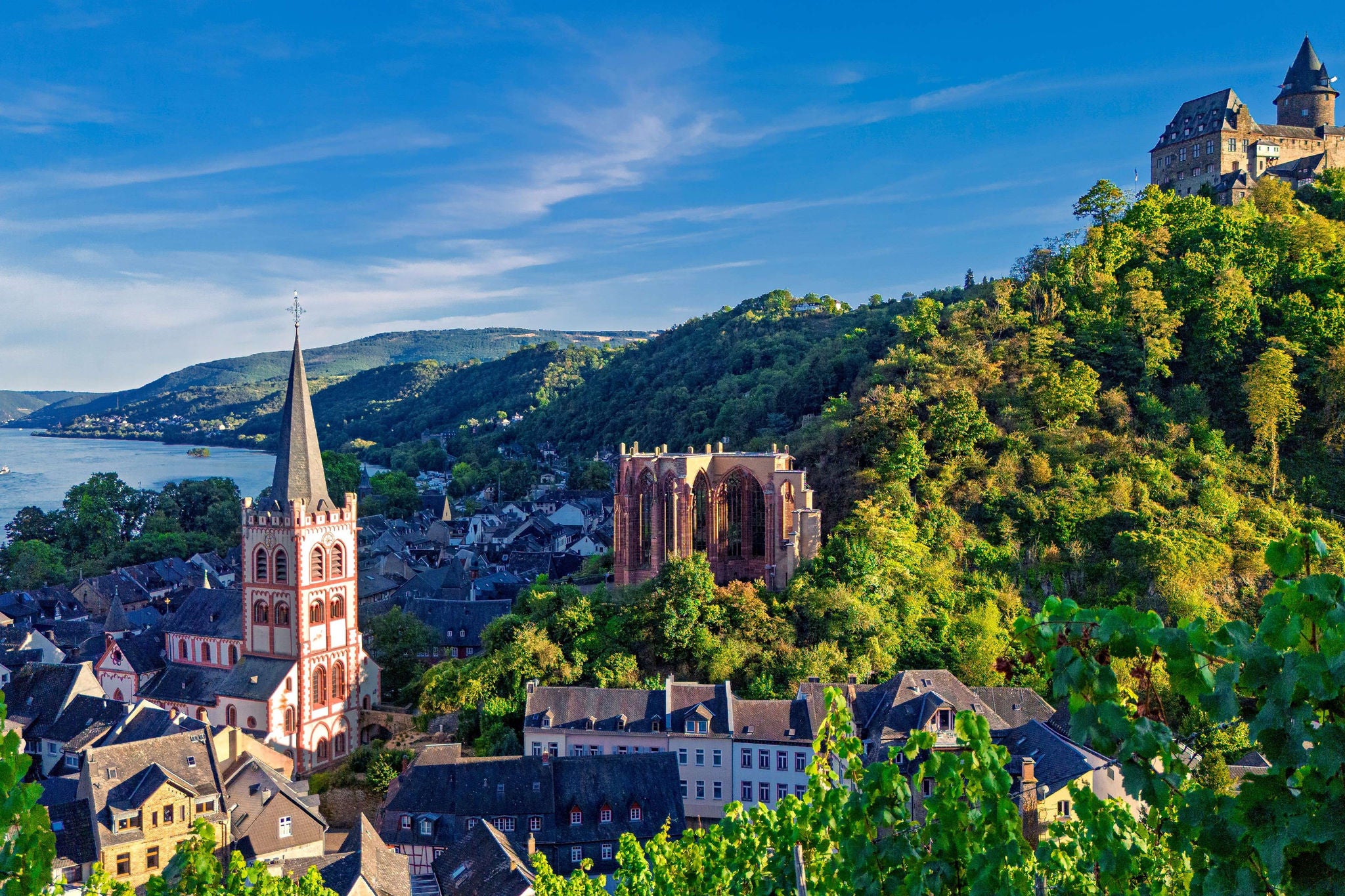 EY International Tax & Transfer Pricing Forum 2026