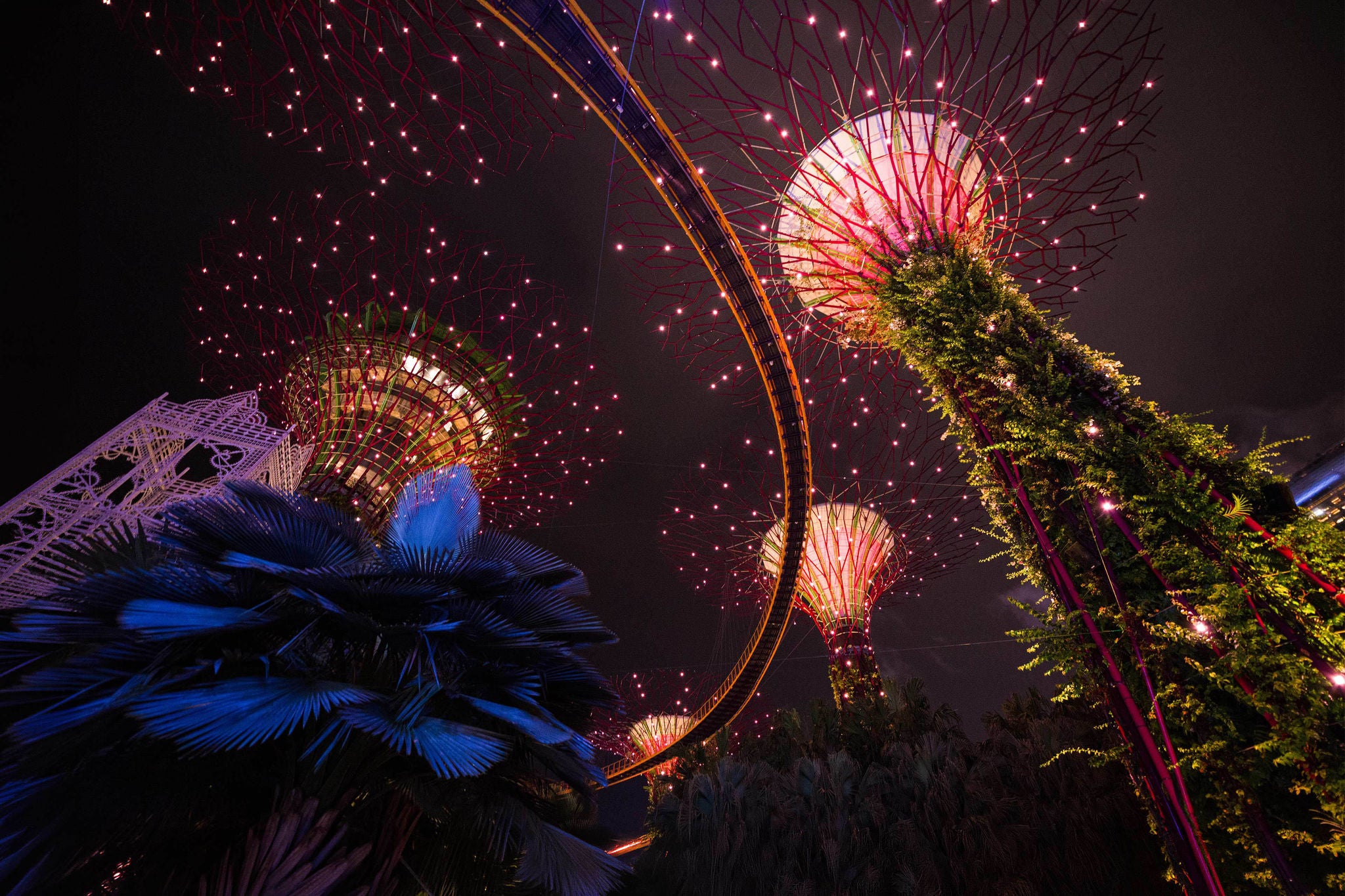 Night shot of Super Trees at Gardens By The Bay, Singapore