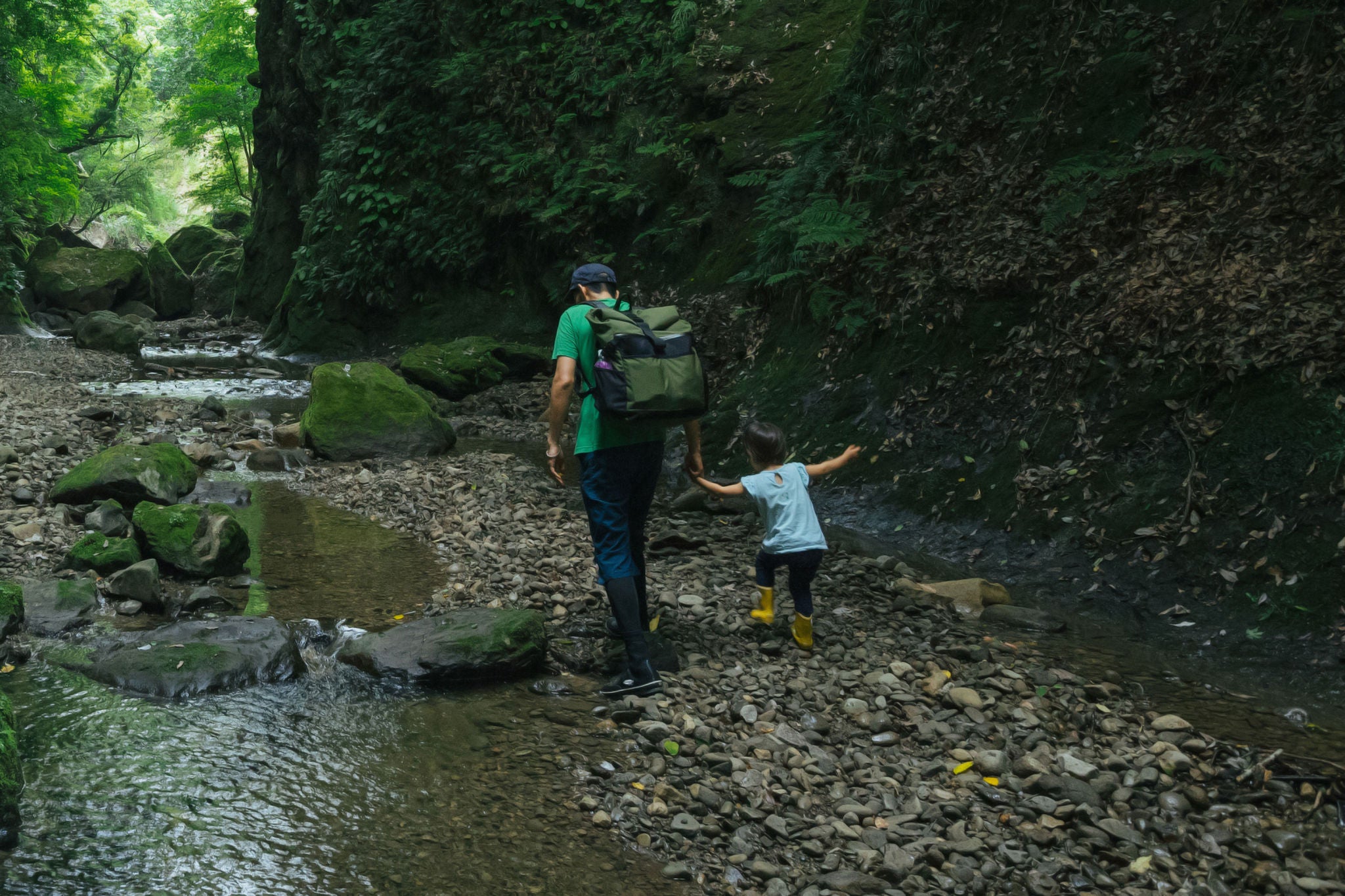 Rear view of a father and his child hiking through a stream in a lush green forest gorge, Chiba, Japan