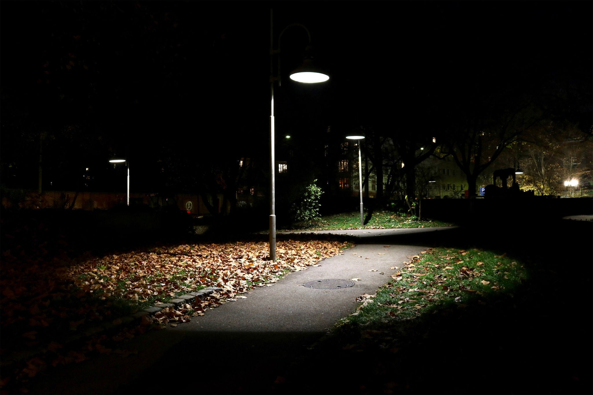 Lamp illuminating dark park